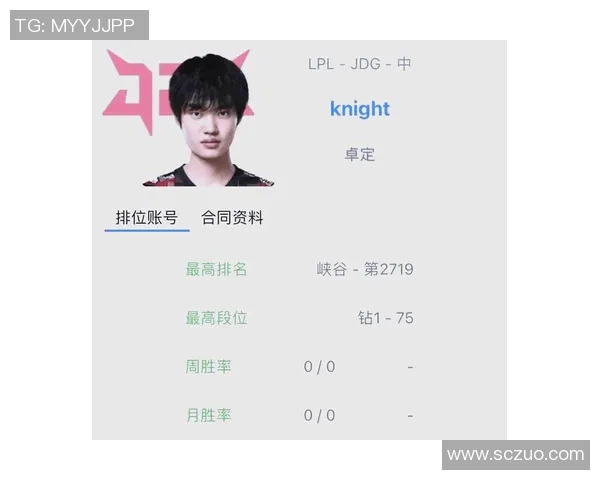 聚焦英雄联盟战队JDG的默契配合与战术分析探讨